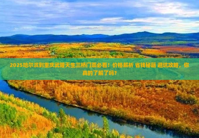 哈尔滨到重庆武隆天生三桥门票