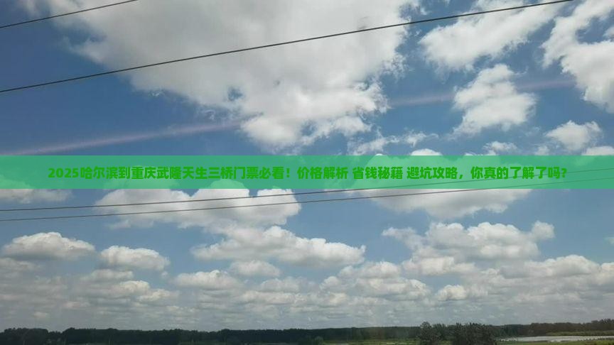 哈尔滨到重庆武隆天生三桥门票