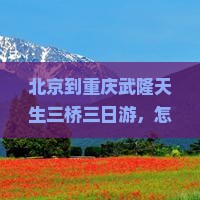 北京到重庆武隆天生三桥三日游