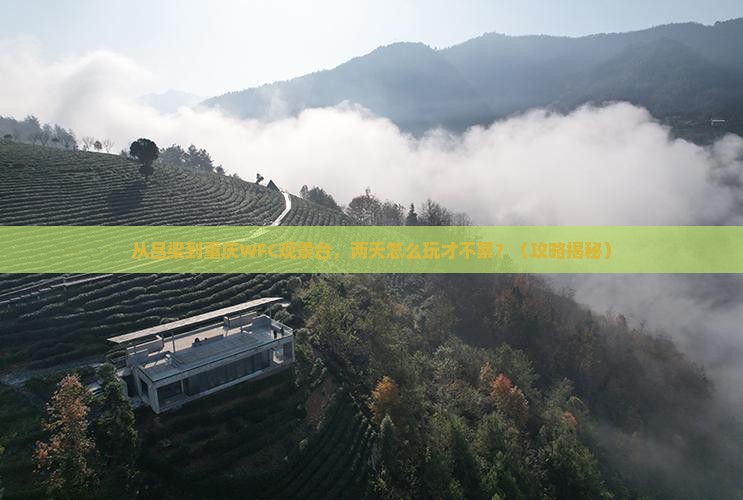 吕梁到重庆wfc观景台二日游