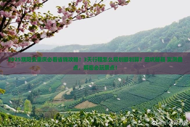 濮阳去重庆攻略