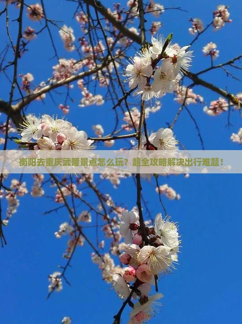 衡阳去重庆武隆景点