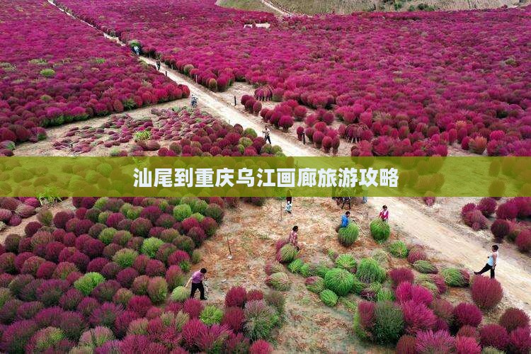 汕尾到重庆乌江画廊哪里玩