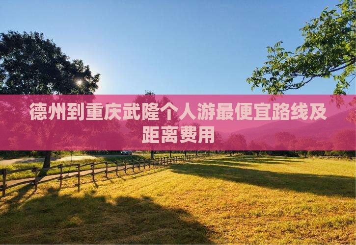 德州到重庆武隆个人游
