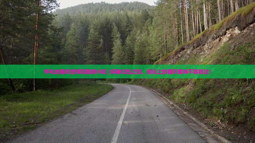 怀化去重庆渣滓洞旅游小吃