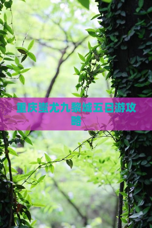 葫芦岛到重庆蚩尤九黎城五日游