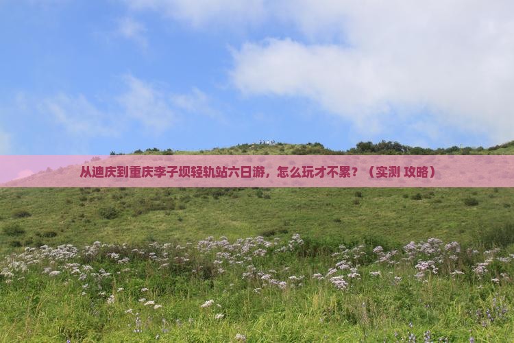 迪庆到重庆李子坝轻轨站六日游