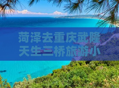 菏泽去重庆武隆天生三桥旅游小吃