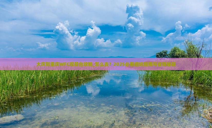 大庆到重庆wfc观景台攻略