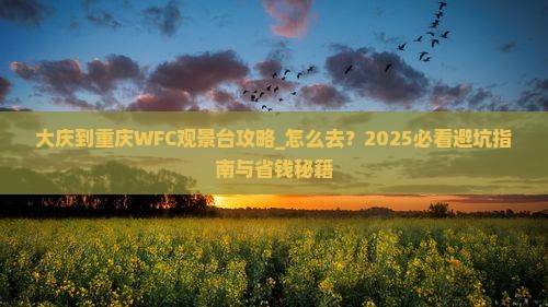 大庆到重庆wfc观景台攻略