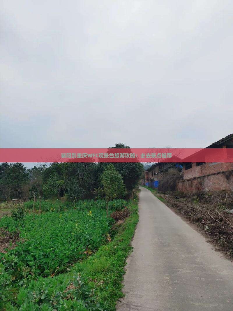 襄樊到重庆wfc观景台必去地