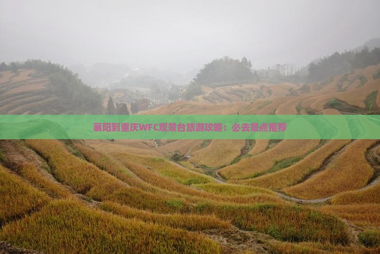 襄樊到重庆wfc观景台必去地