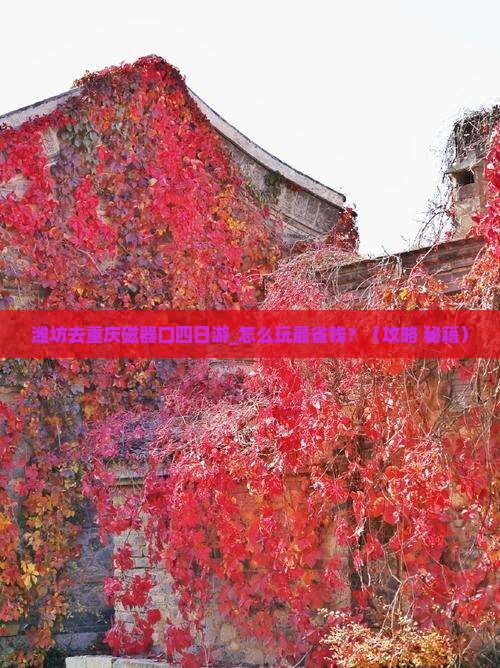 潍坊去重庆磁器口四日游