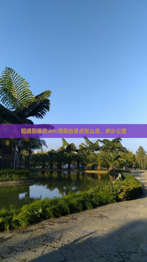 昭通到重庆wfc观景台景点 昭通到重庆wfc观景台景点