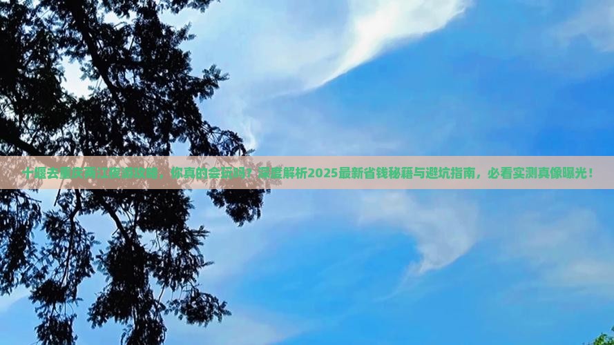 十堰去重庆两江夜游攻略