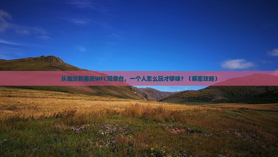 临汾去重庆wfc观景台个人游