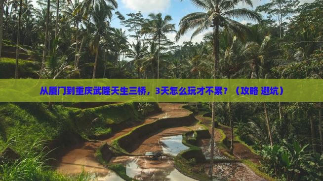 厦门到重庆武隆天生三桥哪里玩
