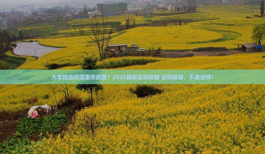 大丰去重庆武隆个人游