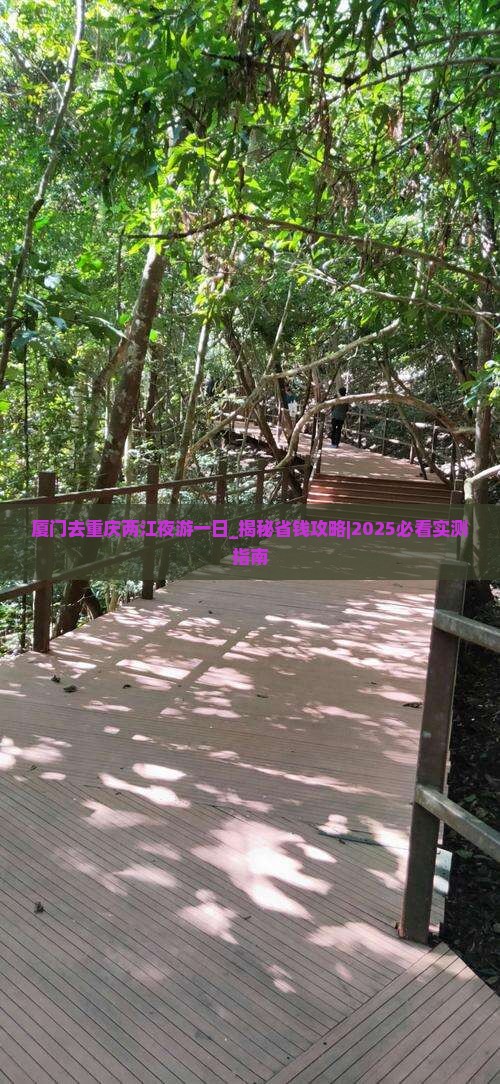 厦门去重庆两江夜游一日
