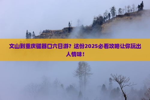 文山到重庆磁器口六日游
