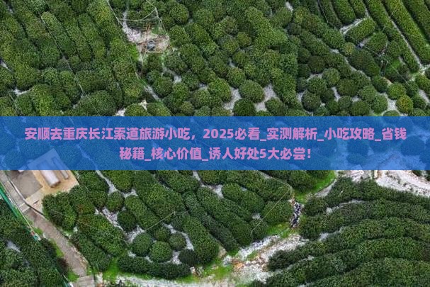 安顺去重庆长江索道旅游小吃