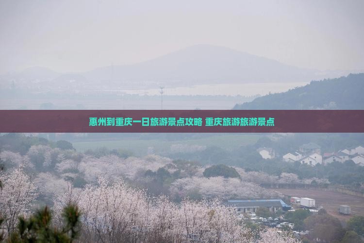 惠州到重庆一日