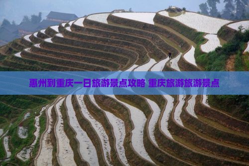 惠州到重庆一日