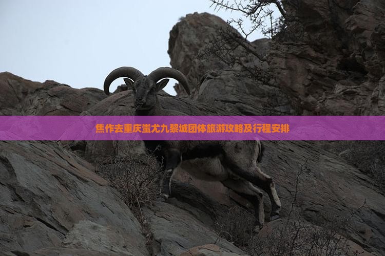 焦作去重庆蚩尤九黎城团体旅游
