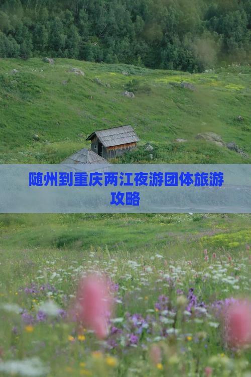 随州到重庆两江夜游团体旅游