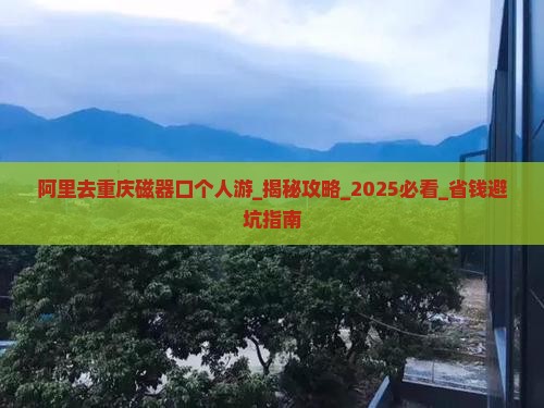 阿里去重庆磁器口个人游