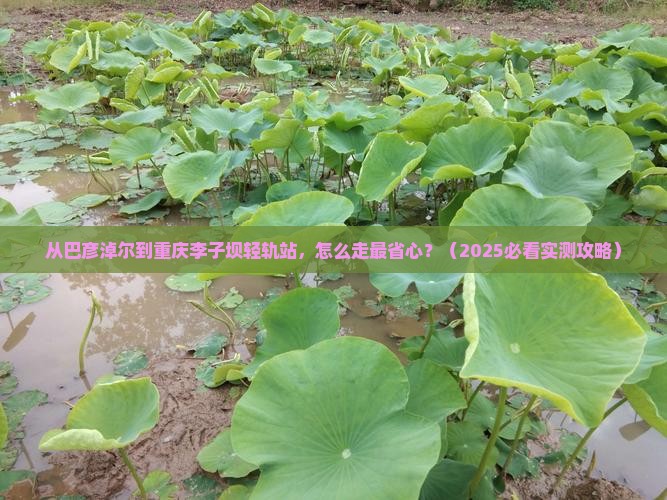 巴彦淖尔到重庆李子坝轻轨站景点
