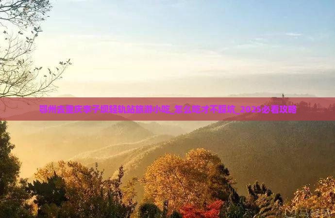 鄂州去重庆李子坝轻轨站旅游小吃