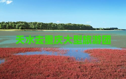 天水去重庆大型旅游团
