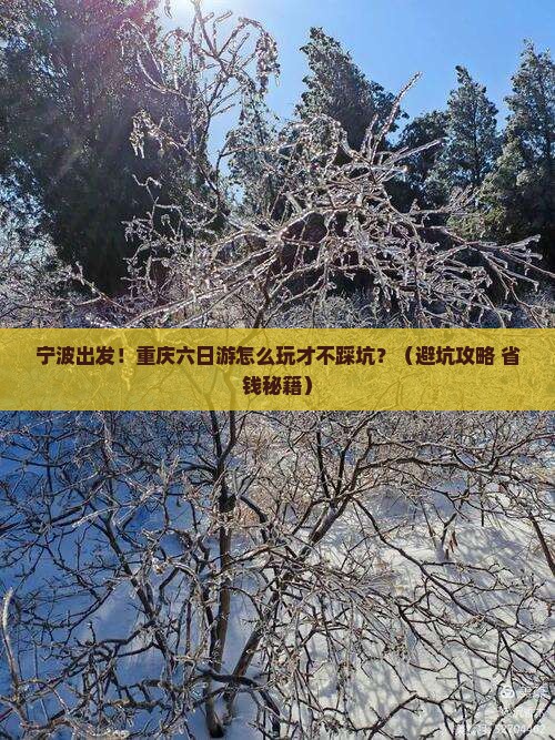 宁波到重庆六日游