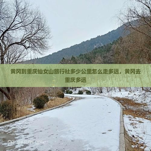 黄冈到重庆仙女山旅行社