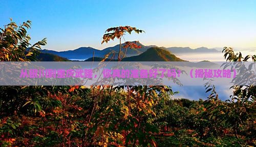 银川到重庆武隆旅游
