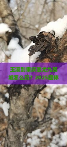 玉溪到重庆蚩尤九黎城团体旅游