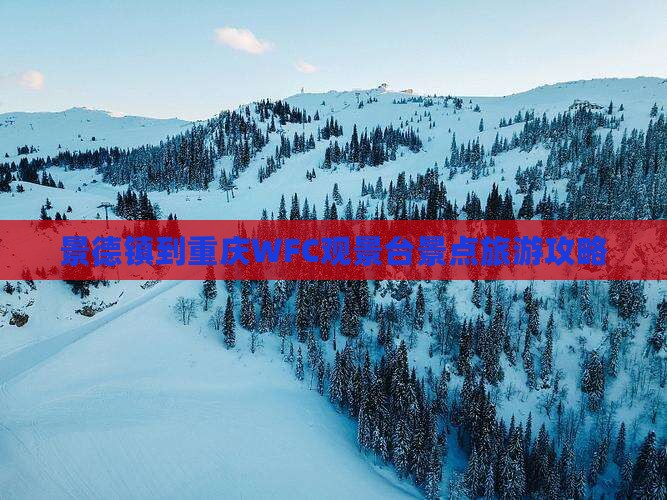 景德镇到重庆wfc观景台景点