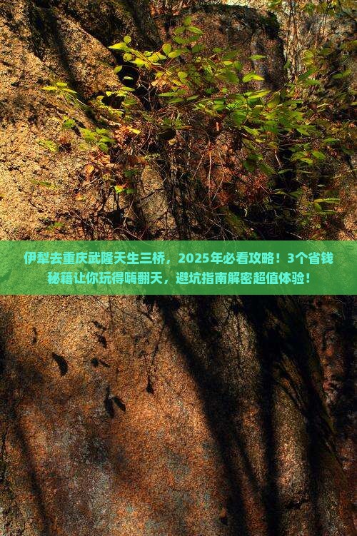 伊犁去重庆武隆天生三桥景点