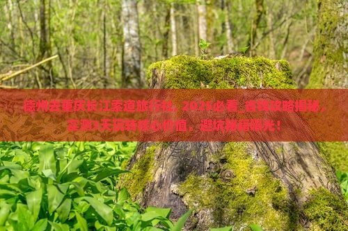 德州去重庆长江索道旅行社