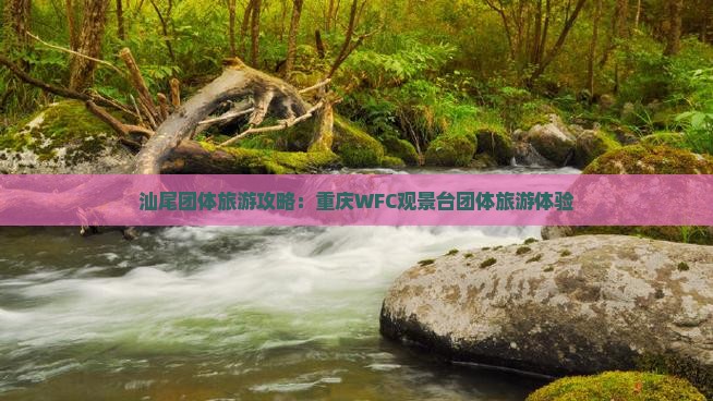 汕尾去重庆wfc观景台团体旅游