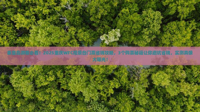 秦皇岛去重庆wfc观景台门票