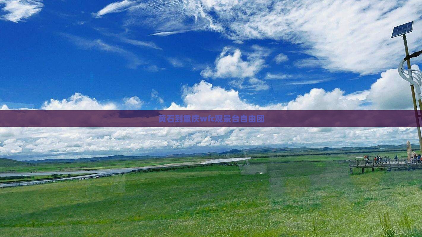 黄石到重庆wfc观景台自由团