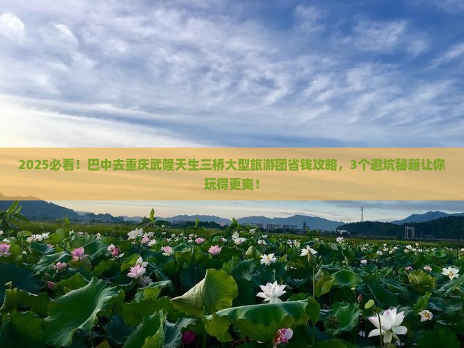 巴中去重庆武隆天生三桥大型旅游团