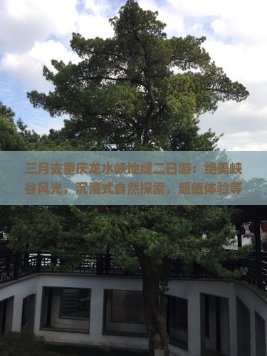 三月去重庆龙水峡地缝二日游