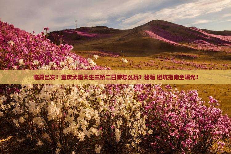 临夏去重庆武隆天生三桥二日游