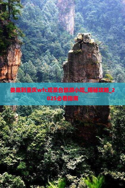 娄底到重庆wfc观景台旅游小吃