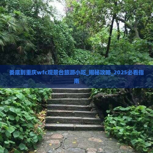 娄底到重庆wfc观景台旅游小吃