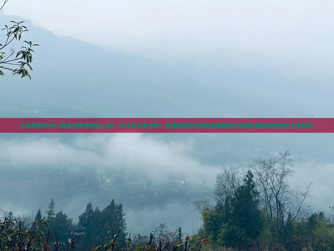 北京到重庆wfc观景台大型旅游团