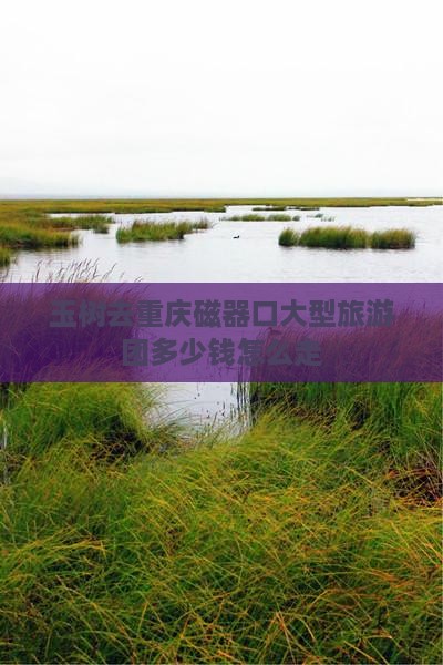 玉树去重庆磁器口大型旅游团